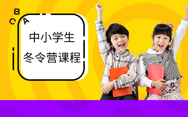 深圳中小學(xué)生冬令營課程