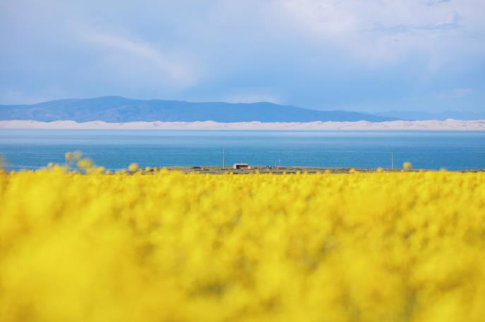 课程大纲 课程大纲