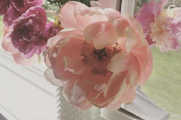 课程特色 课程特色