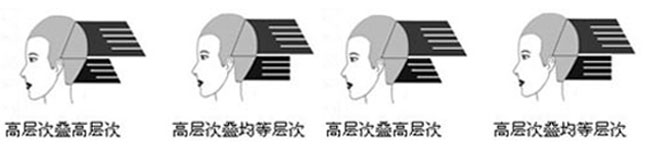 头部的分区及分份