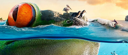 课程大纲 课程大纲