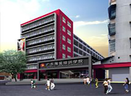 校区大楼 校区大楼