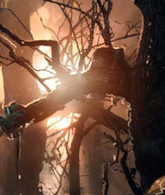 由浅入深,专项技能扎实学 由浅入深,专项技能扎实学