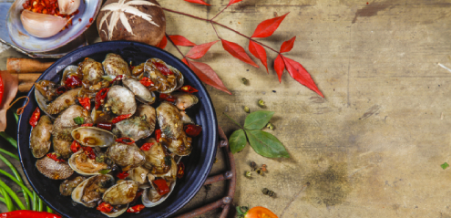 开心花甲培训内容