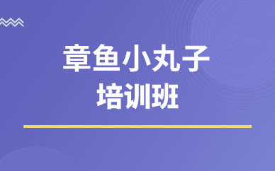 深圳章鱼小丸子培训班