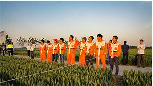 组建植保飞防队伍