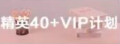 精英40+VIP计划 精英40+VIP计划