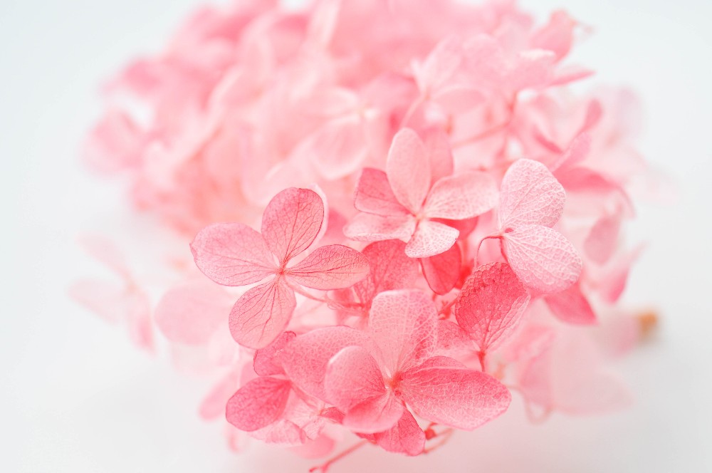 教学设备 教学设备