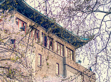 武漢大學(xué) 武漢大學(xué)