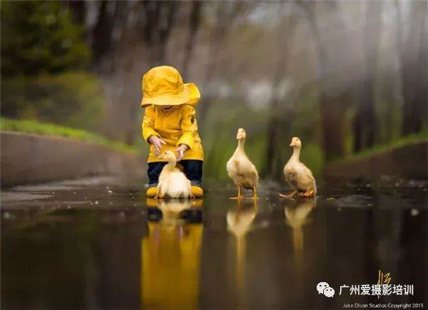摄影师Jake Olson镜头下,孩子与三只小黄鸭