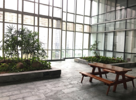 学校风采 学校风采