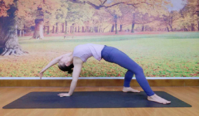 广州金珠瑜伽愿你长成一棵树永远不会枯！