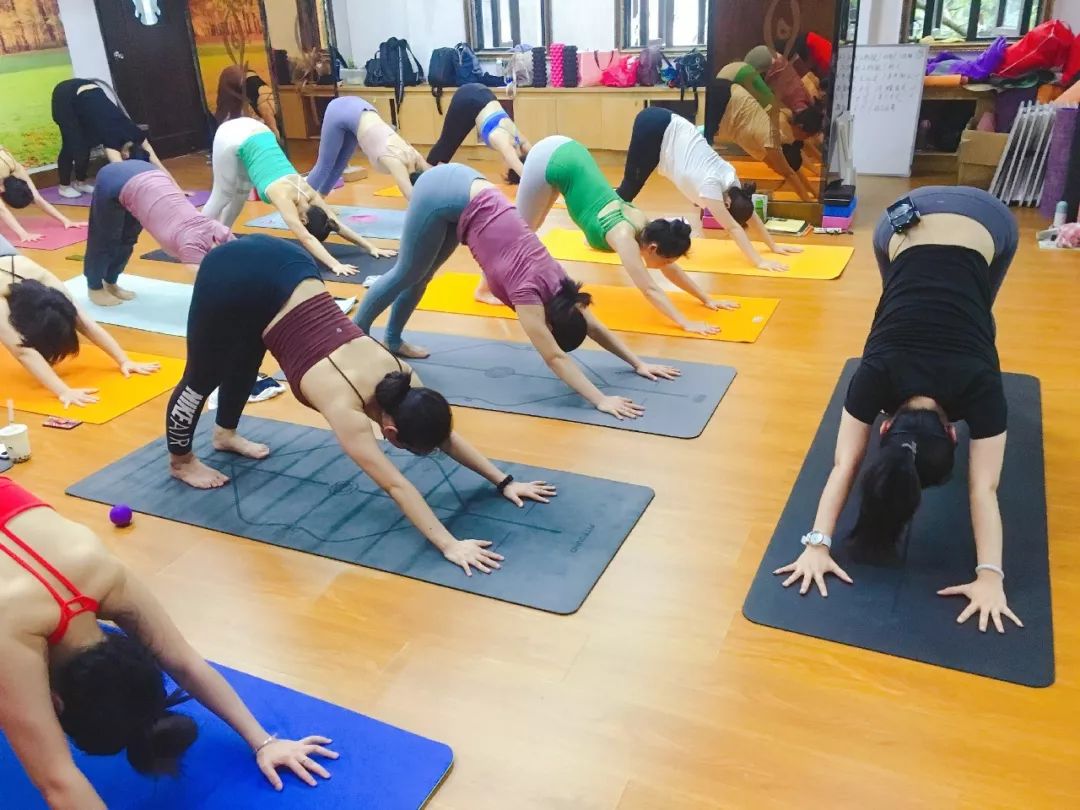 广州金珠瑜伽学员与你分享自己对瑜伽的体会心境