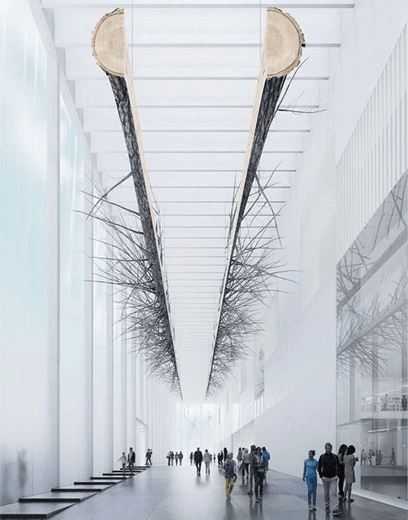 选择专业的机构，你就成功了一半