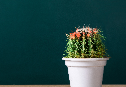 一对一定制学习课程