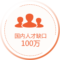 国内人才缺口  100万