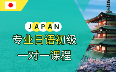 深圳专业日语初级一对一课程