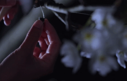 深圳阳光喔与你分享央视热评如何书写属于李子柒的中国故事！