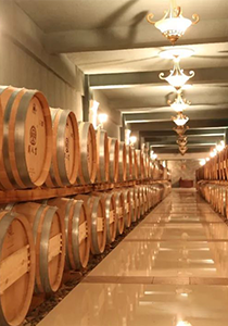 20191009112308697 (1)