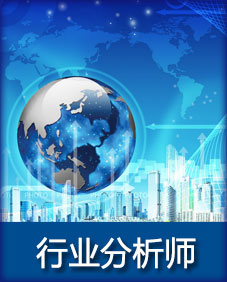 行业分析师