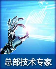 总部技术专家