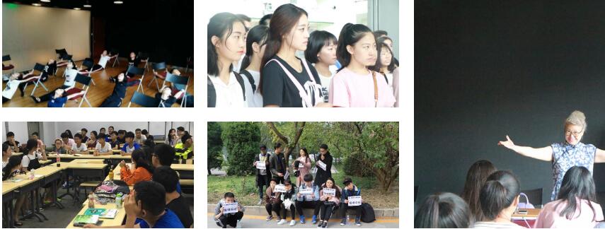 中视华韵优势环境 中视华韵优势环境