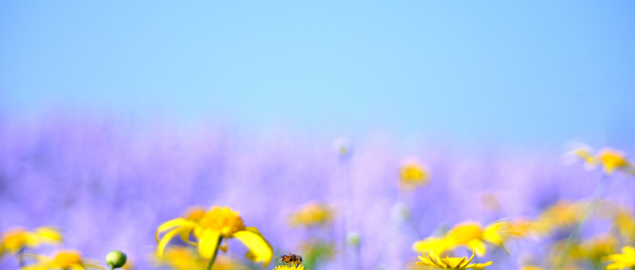 广州秀丽服装制板速成班12月23日开新班!
