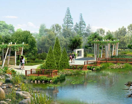 阶段三 植物配置及造景设计