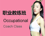 职业教练班