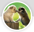 QQ截图20191216185121 QQ截图20191216185121