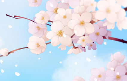 樱花