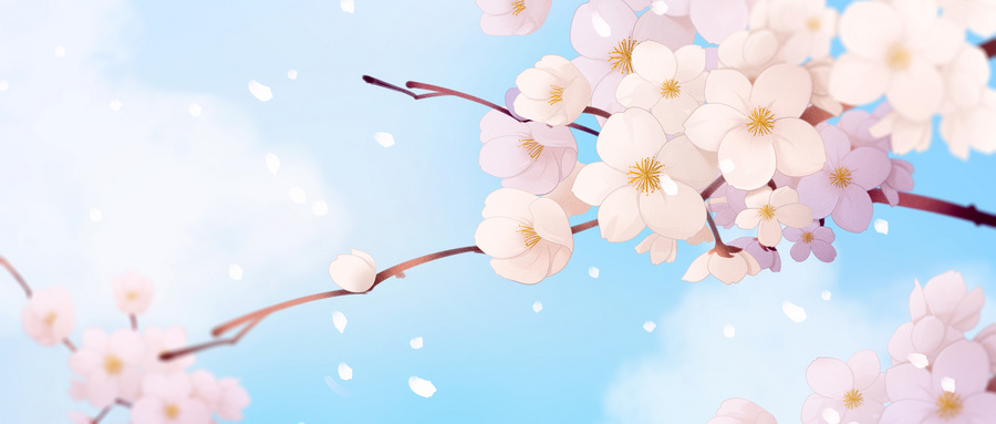 樱花 樱花