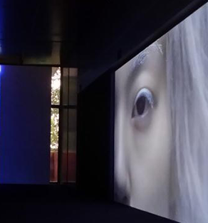 前期创意基础课程