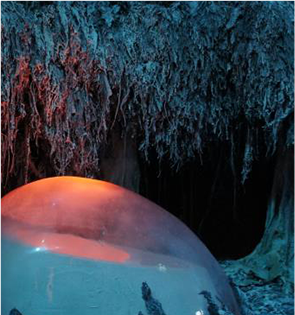 专业作品集课程