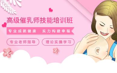 上海高级催乳师技能培训班