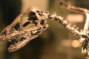 3D打印专业班课程内容