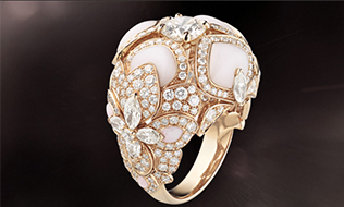 第三阶段 珠宝造型 第三阶段 珠宝造型