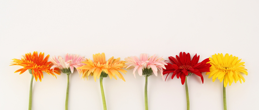 广州学通国际教育带您了解一下择校！