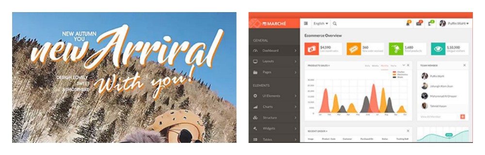 第①①阶段 后台 装修与管理