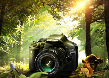 构图与色彩的运用