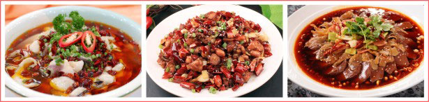 川菜 (3) 川菜 (3)