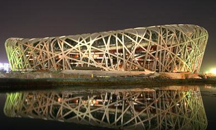 第十二章 中级：鸟巢