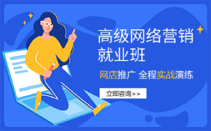 上海高级网络营销就业班