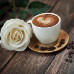 第一天:咖啡饮品 第一天:咖啡饮品