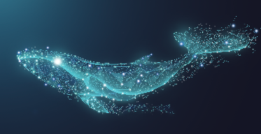 课程内容 课程内容