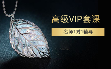 上海珠宝高级VIP套课