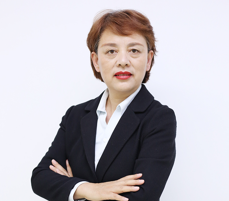 马涛 马涛