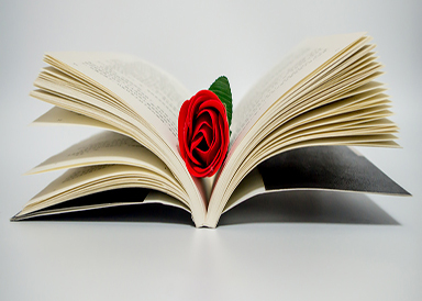 摄图网_500501867_wx