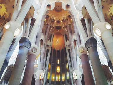 高含金量的学位