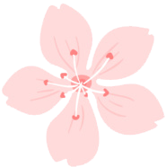 广州樱花邀您来参加樱花元月活动！